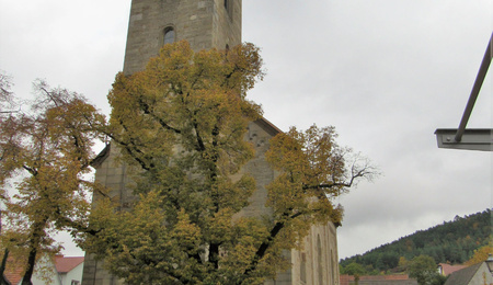 Filialkirche St. Bartholomäus, Haard Filialkirche St. Bartholomäus, Haard